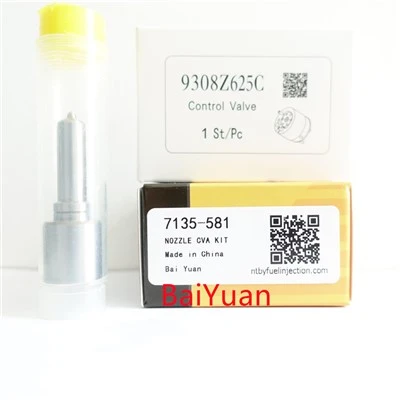 Delphi 인젝터용 수리 키트 7135-581